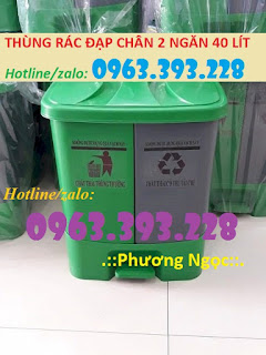 Thùng rác 2 ngăn 40L đạp chân, thùng rác nhựa HDPE 40 Lít