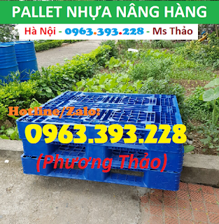 Pallet nhựa nâng hàng, Pallet nhựa kê hàng giá tốt tại Hà Nội