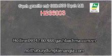 Gạch Granite Bạch mã ốp lát phòng tắm 30x60 HS 36001, hs36002, hs36003