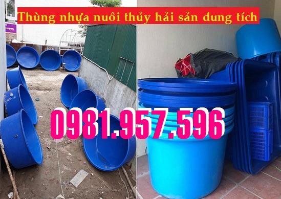 Thùng nhựa nuôi cá, thùng nhựa nuôi lươn, thùng nhựa nuôi tôm