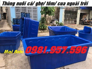 Thùng nuôi cá ngoài trời, thùng nuôi hải sản, thùng nuôi lươn