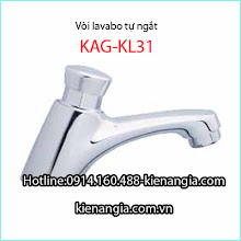 Vòi lavabo tự ngắt toto,cotto,moen,prolax,kag chiết khấu cao nhất tp.hcm